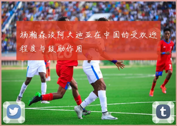 杨瀚森谈阿夫迪亚在中国的受欢迎程度与鼓励作用