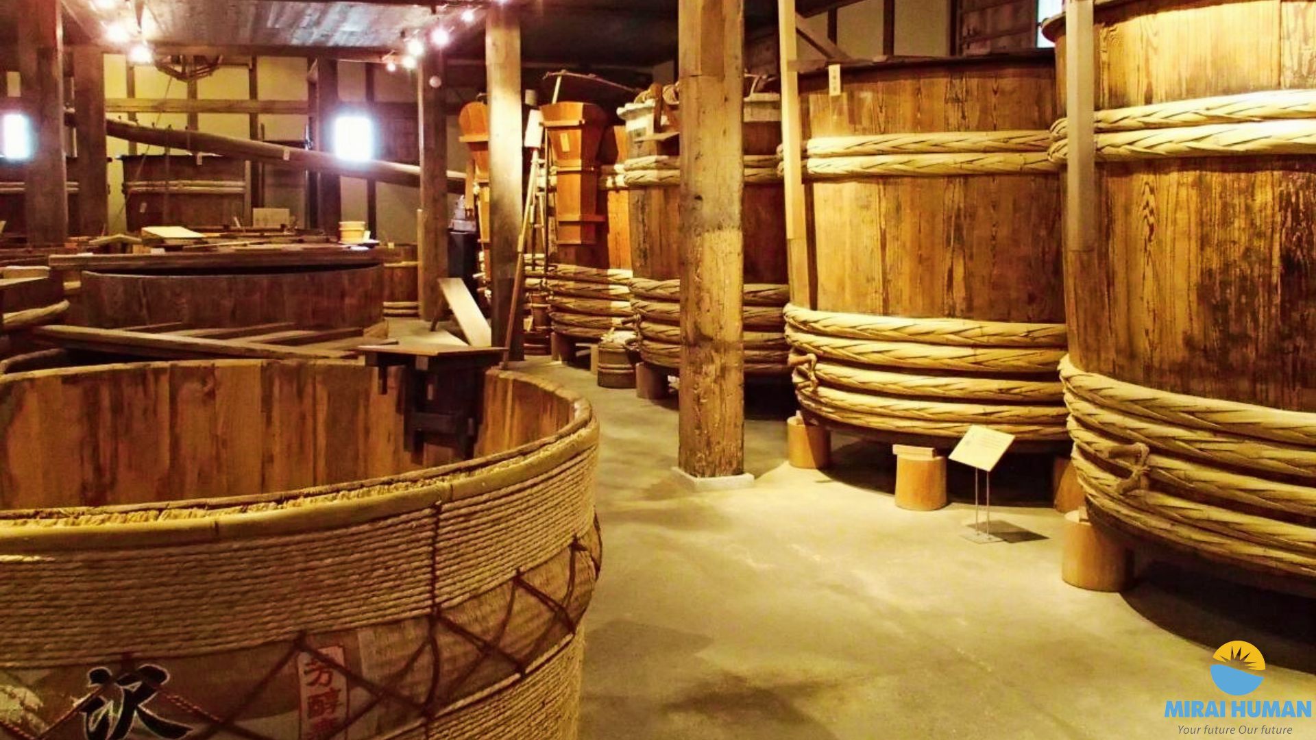Rượu Sake Kijuu